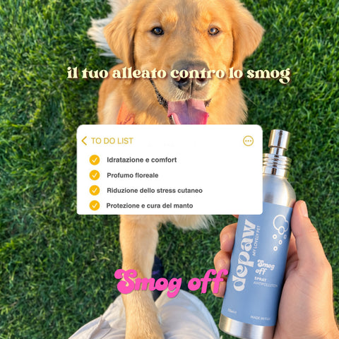 Golden retriever sull'erba e mano che tiene il flacone di Smog Off, spray antipollution per cani